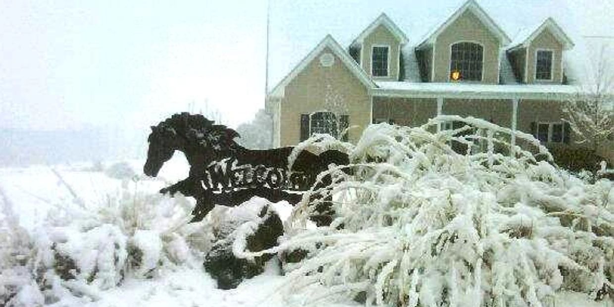 Dog Boarding, Dog Training Atlanta Dogworks Alpharetta,